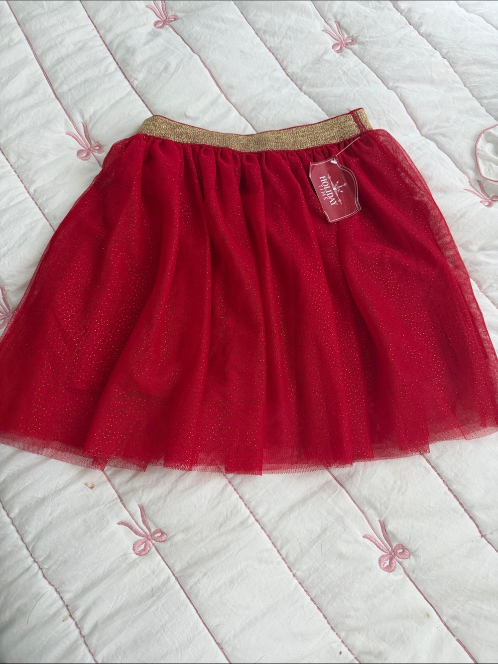 Holiday Time Red Tulle Circle Skirt with Gold Elastic Waistband